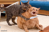 Getting robbed
