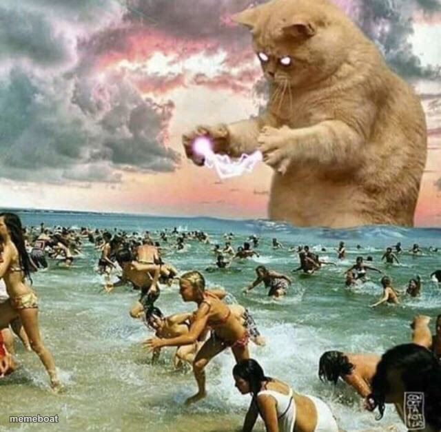 Giant Cat on beach - meme generator image preview