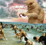 Giant Cat on beach