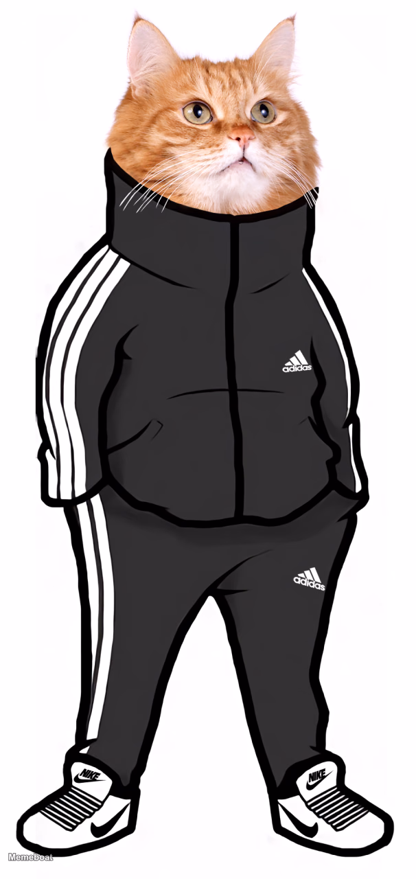 Ginger Cat in a Tracksuit - meme generator image preview