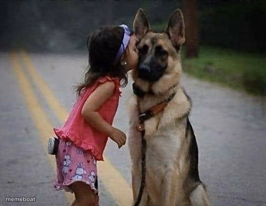 Girl and dog - meme generator image preview