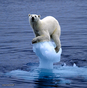 Global Warming Polar Bear - meme generator image preview