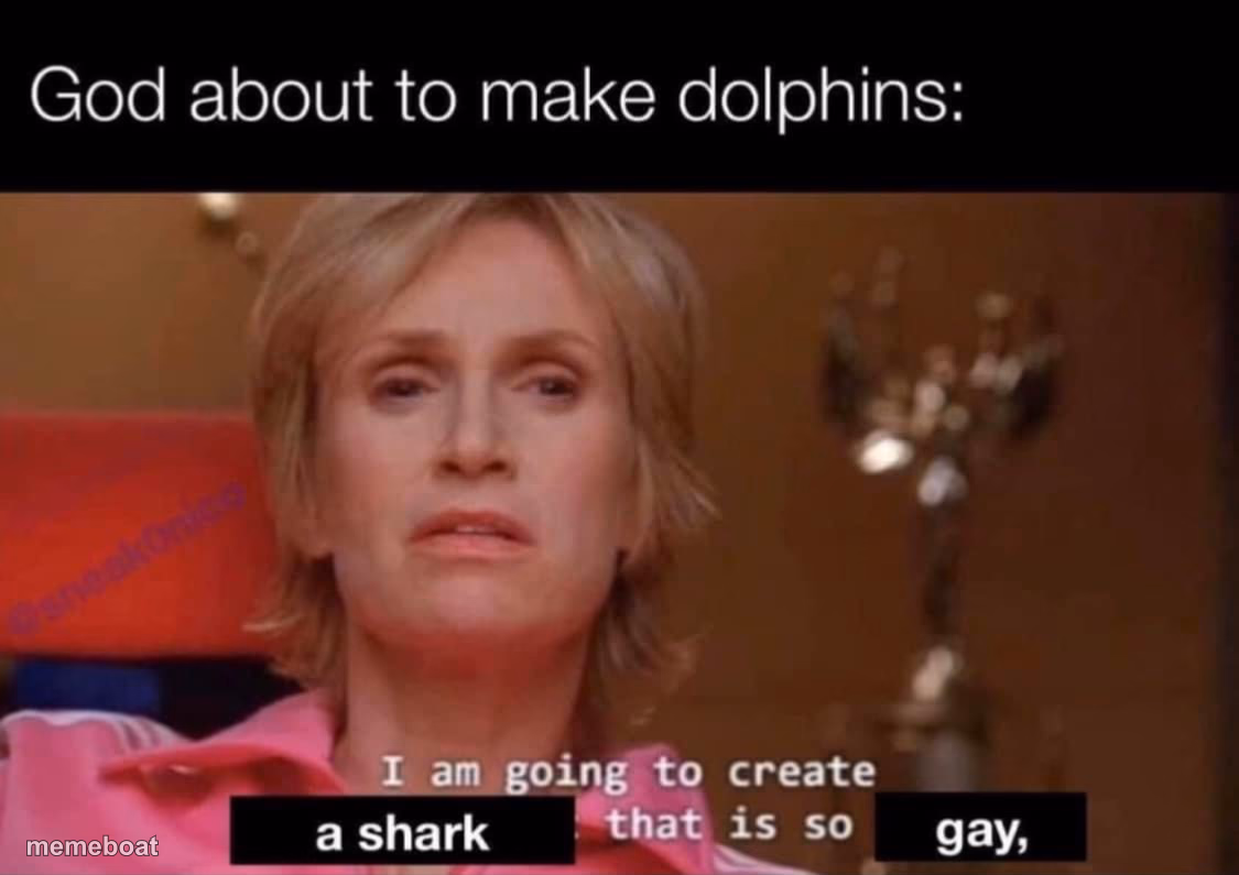 God about to make dolphins - meme generator image preview