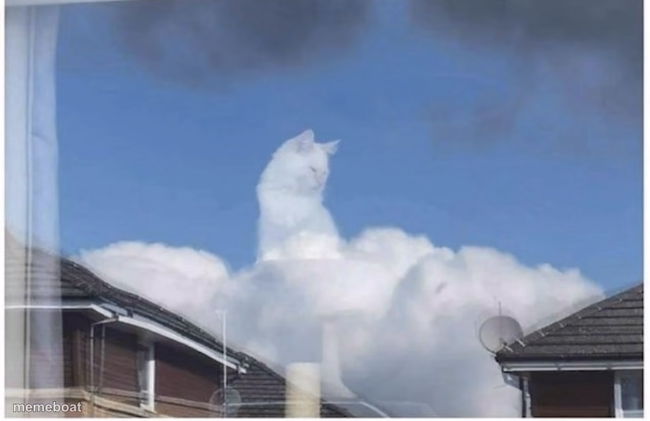 God’s cat - meme generator image preview