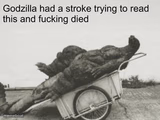 godzilla dies trying to read