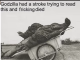Godzilla had a stroke trying to read this and fricking died