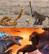 Godzilla vs. King Kong