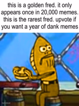 Golden fred