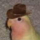Gonb - meme generator image preview