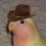 Gonb