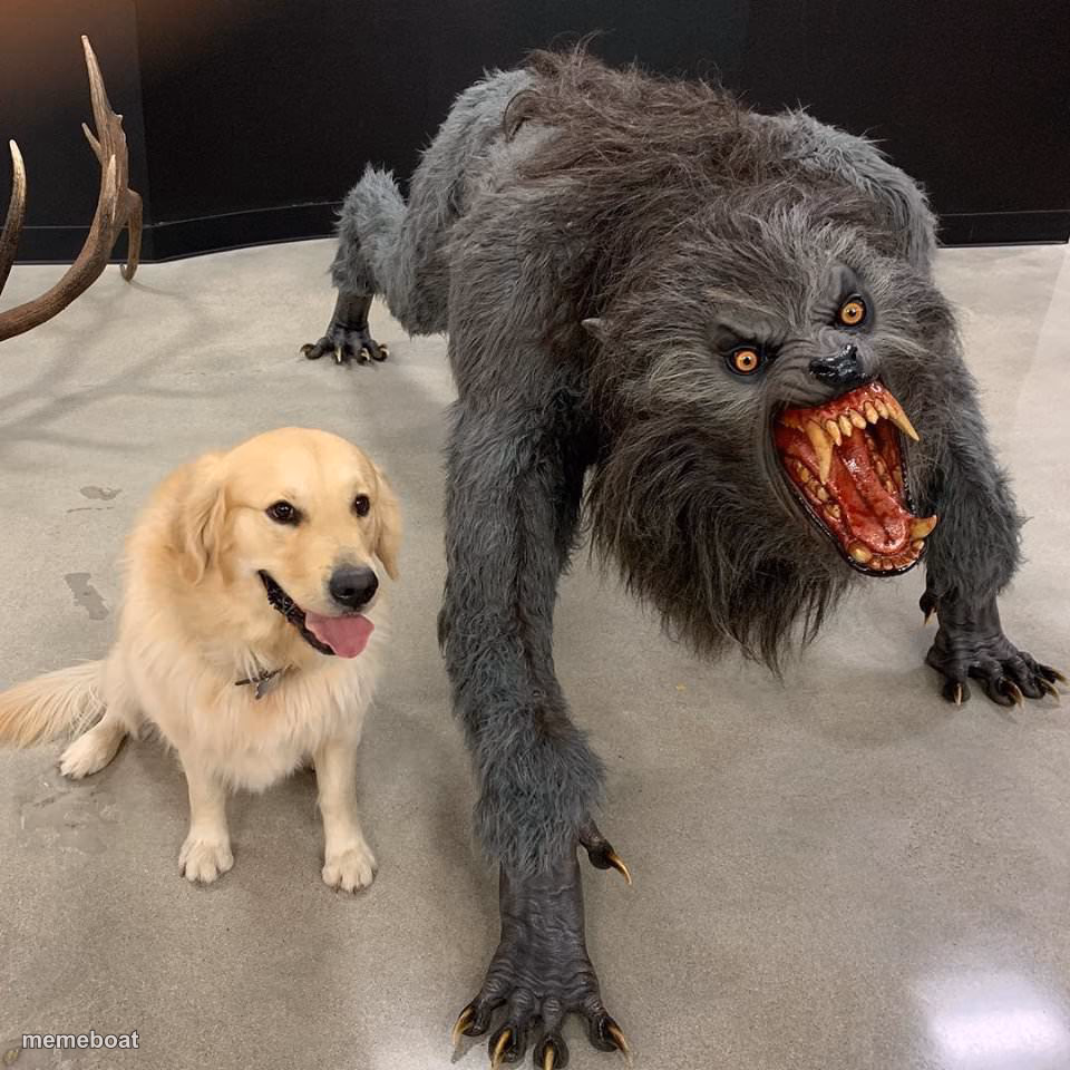 Good dog scary dog - meme generator image preview