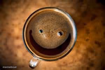 Good Morning Thursday