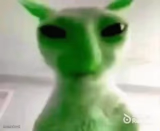 goofy ahh alien cat