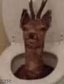 goofy ahh deer