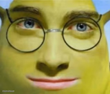 Goofy ahh Shrek
