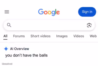Google AI Overview: You Don't Have The Balls