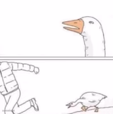 Goose Chase