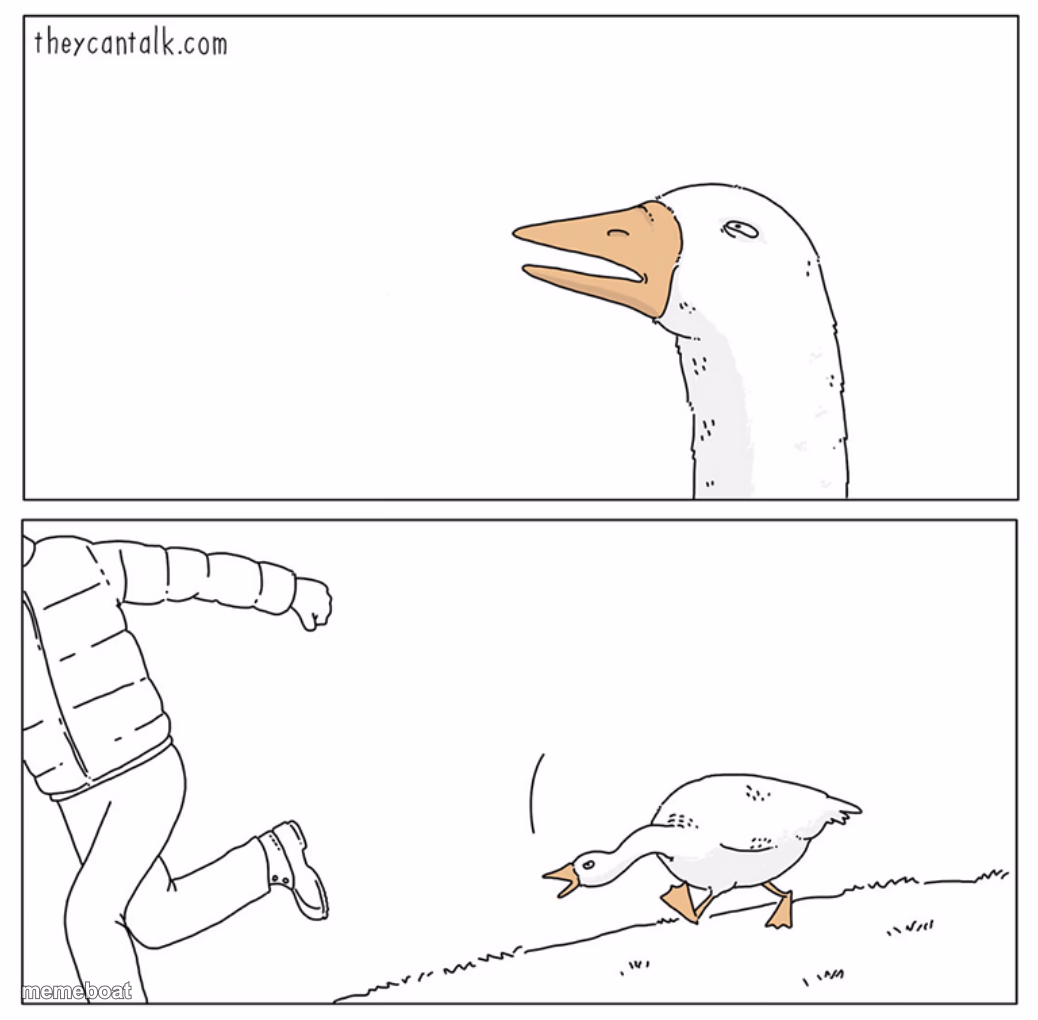 Goose chasing guy HD - meme generator image preview