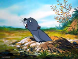 Gopher Happy Windsday