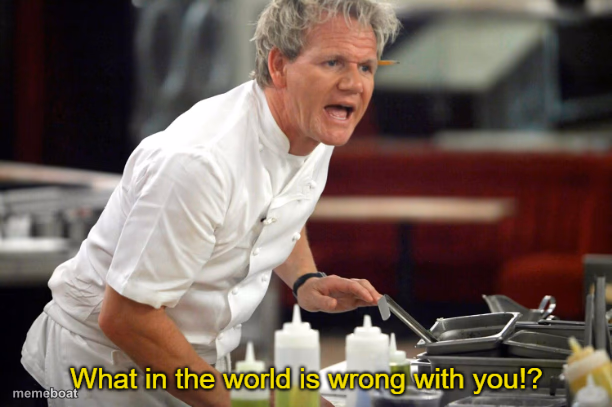 Gordan Ramsay What in the World is Wrong With You - meme generator image preview