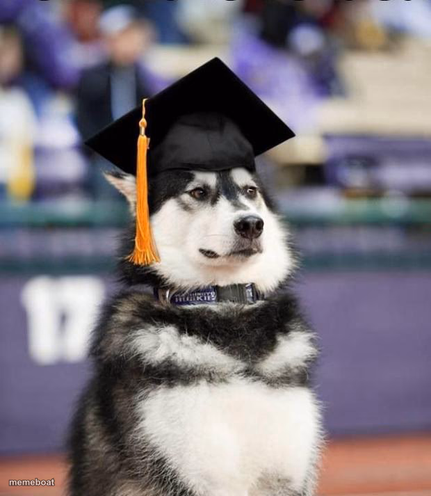 Graduate Dog - meme generator image preview