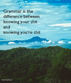Grammar is the difference - meme generator image preview
