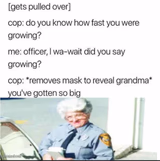 Grandma Cop