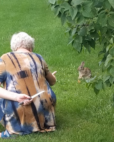 grandma hiding knife rabbit - meme generator image preview