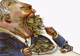 Greed