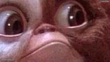 Gremlin Gizmo