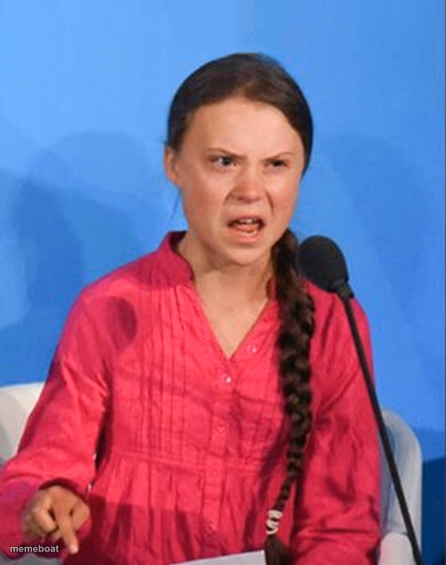 Greta Thunberg how dare you - meme generator image preview
