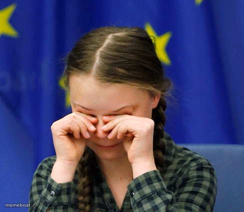 Greta Thunberg Upset - meme generator image preview