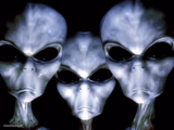 grey aliens