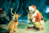 grinch and dog