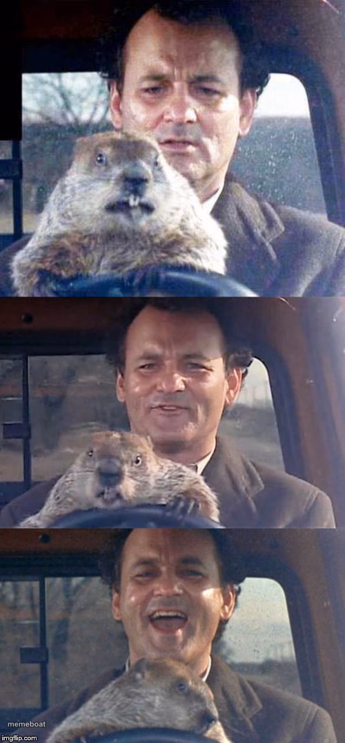 Ground Hog Day Madness - meme generator image preview