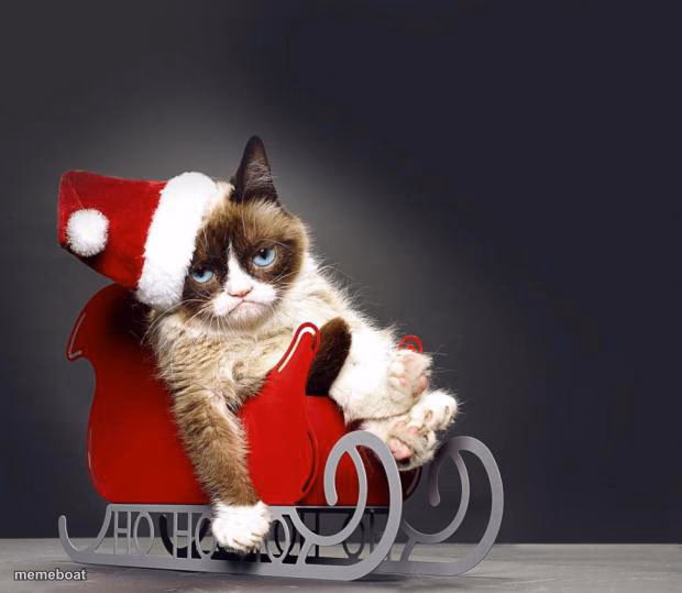 Grumpy Cat Christmas HD - meme generator image preview