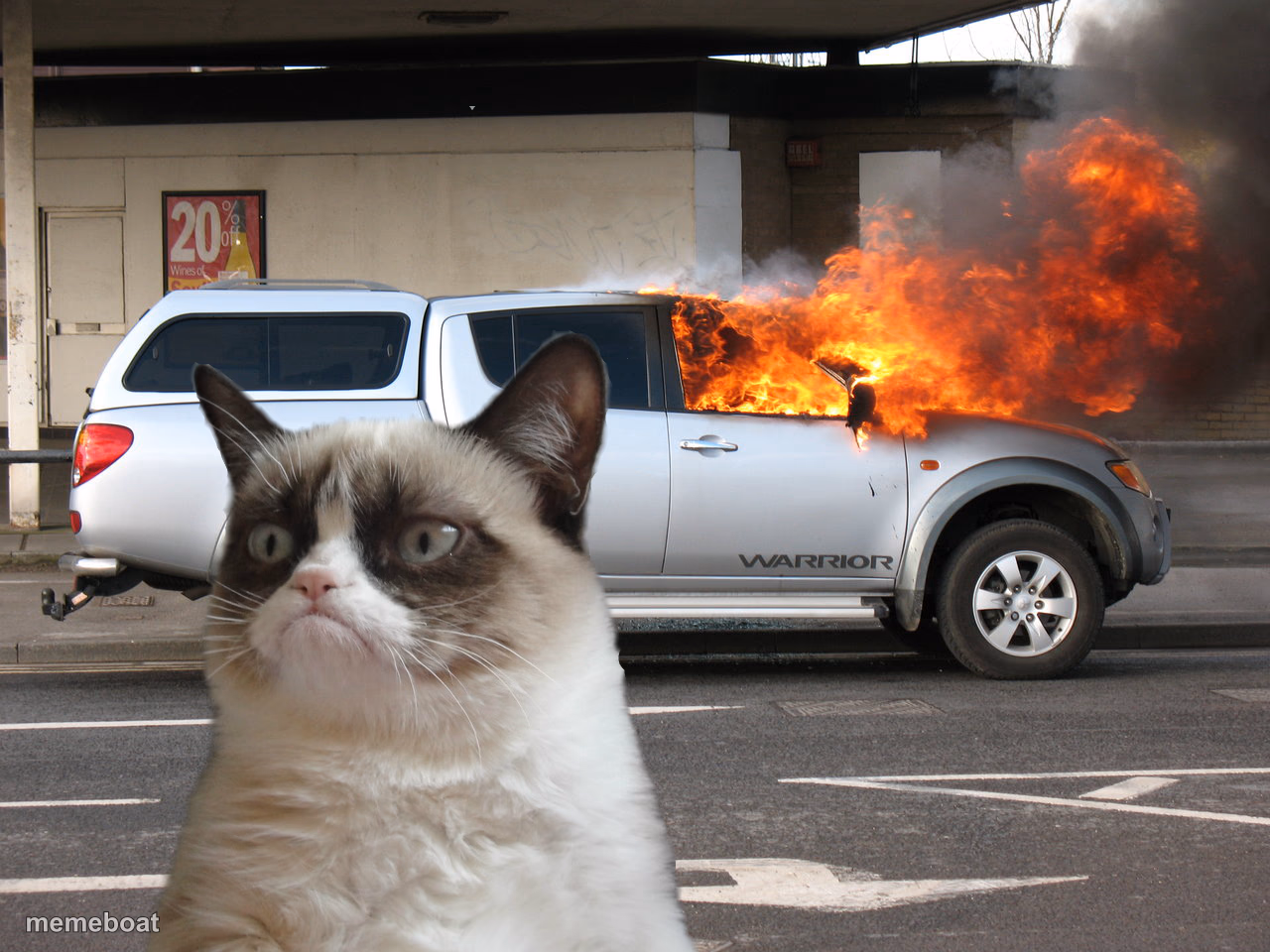 Grumpy Cat Fire Car - meme generator image preview