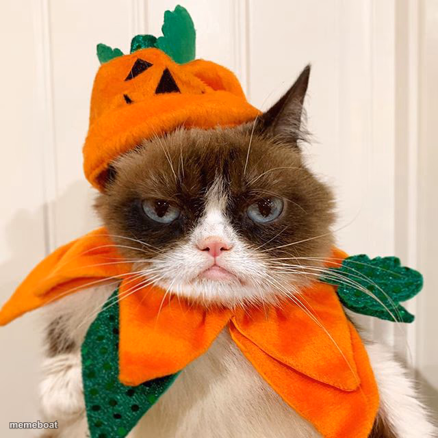 Grumpy Cat Halloween - meme generator image preview