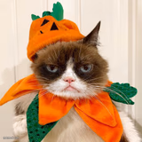 Grumpy Cat Halloween