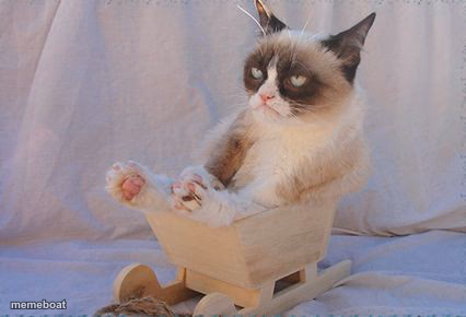 Grumpy Cat In a Sleigh - meme generator image preview