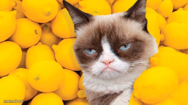 Grumpy Cat lemons - meme generator image preview