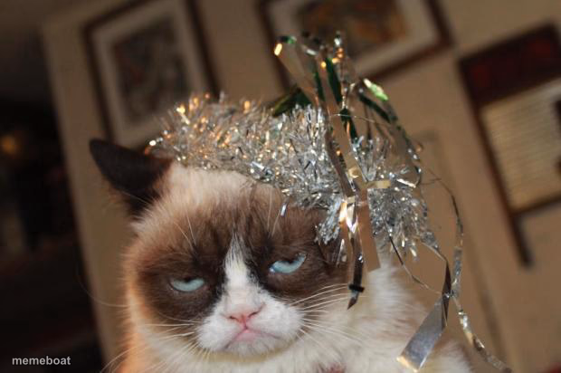 Grumpy Cat New Years - meme generator image preview