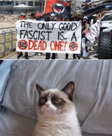 Grumpy cat vs antifa