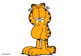 Grumpy Garfield