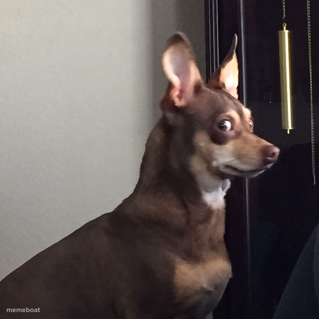 Guilty Dog - meme generator image preview