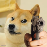 Gun Doge