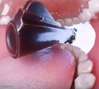 Gun in Mouth