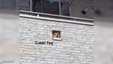 Guten Tag