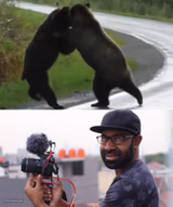 Guy films 2 bears fighting