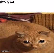Gwa gwa - meme generator image preview